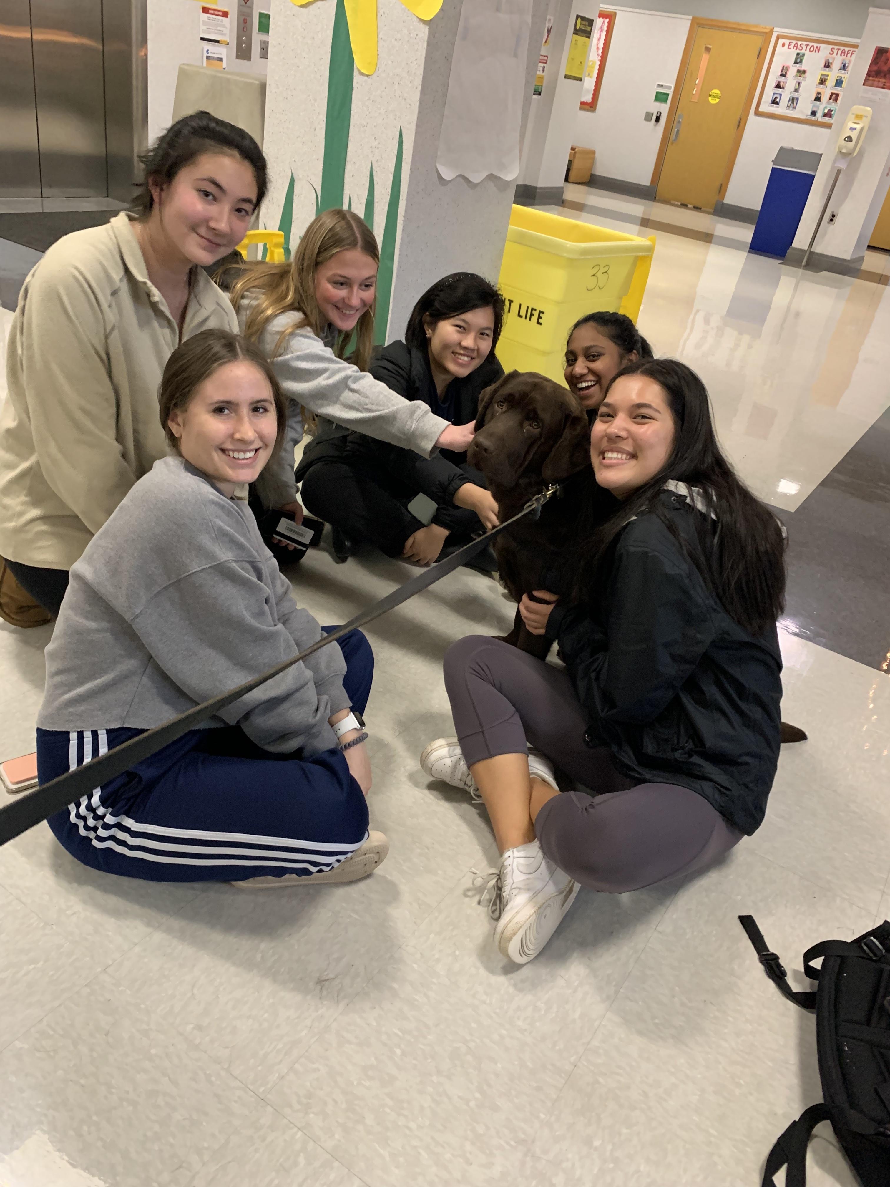 Carillon students visiting with Teddy the UMD comfort dog